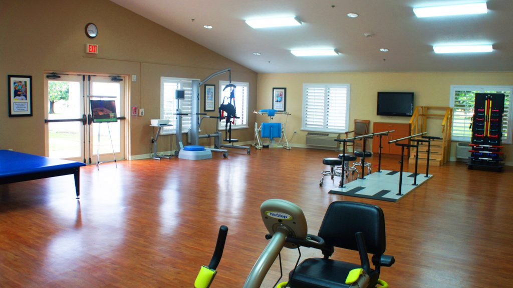 therapy gym2
